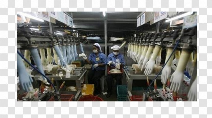 Natural Rubber Glove Factory Production - Market - Business Transparent PNG