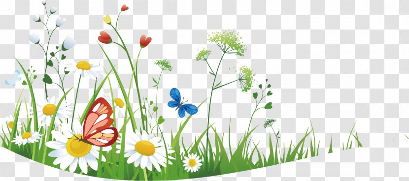 Clip Art - Digital Image - Grass Background Transparent PNG