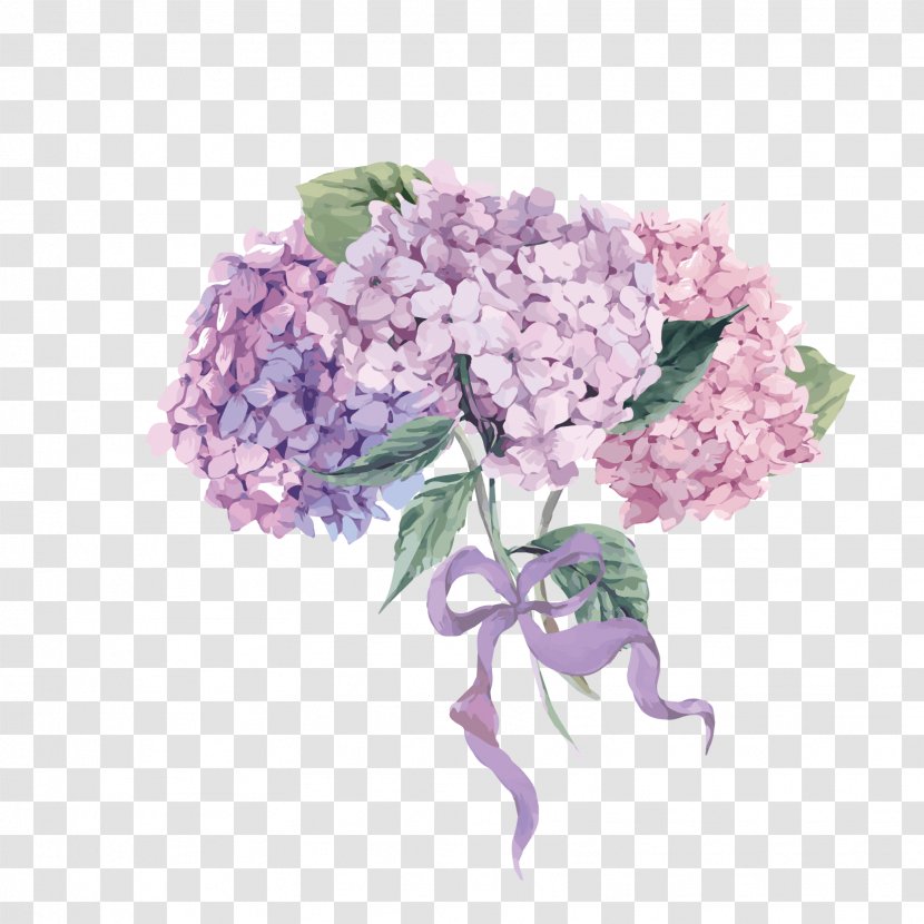 Flower Hydrangea Royalty-free Illustration - Cut Flowers - Hand-painted Bouquets Free To Download Transparent PNG