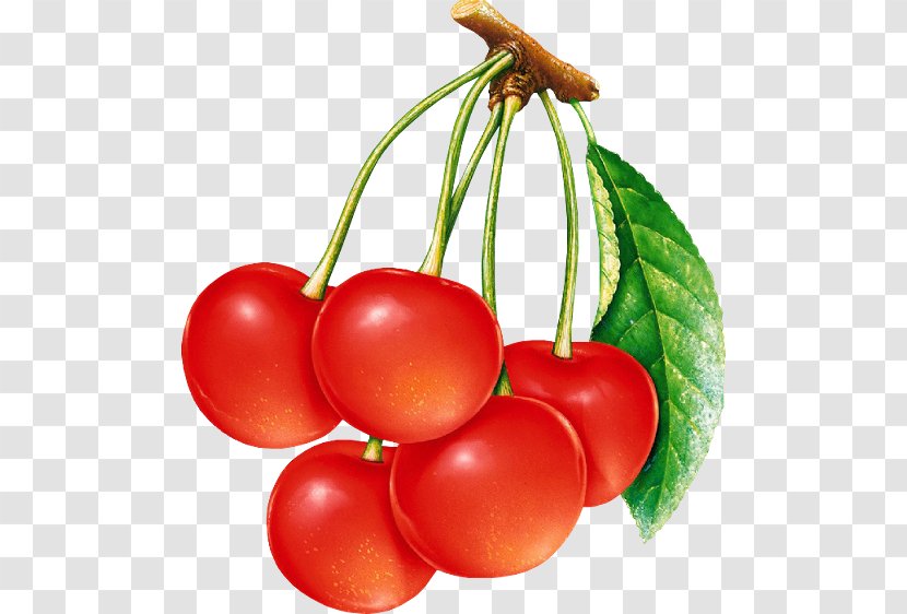 Cherry Clip Art - Superfood - Food Transparent PNG