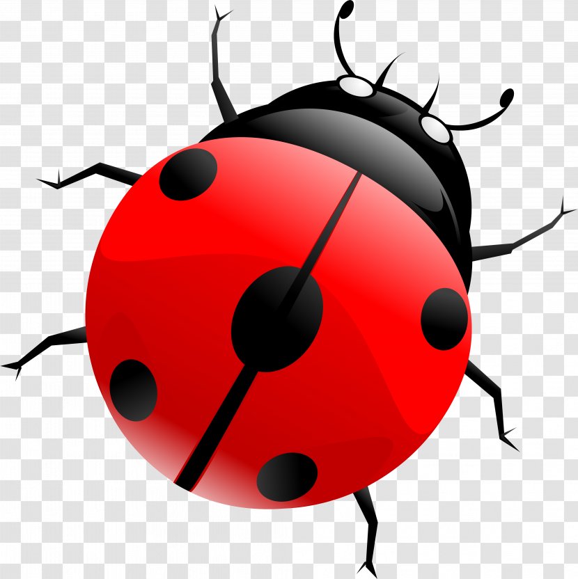 Beetle Blog Clip Art - Arthropod - Ladybird Transparent PNG