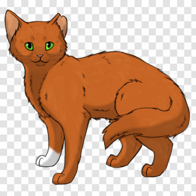 Kitten Whiskers Manx Cat Domestic Short-haired Warriors Transparent PNG