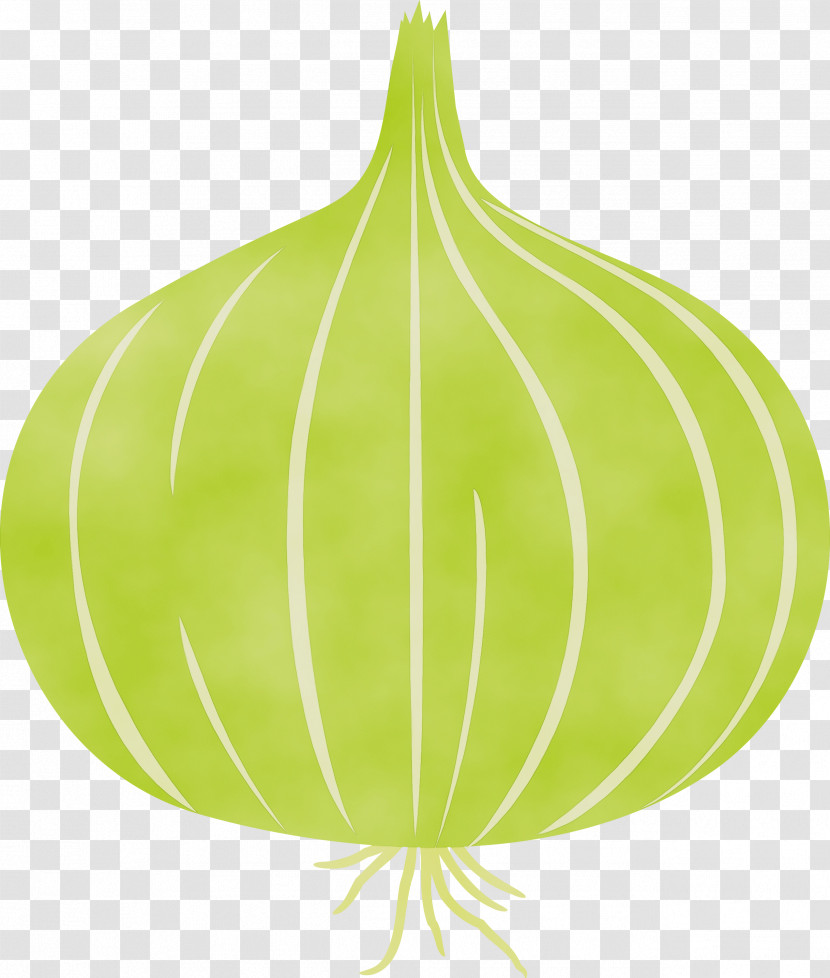 Leaf Green Tree Fruit Science Transparent PNG