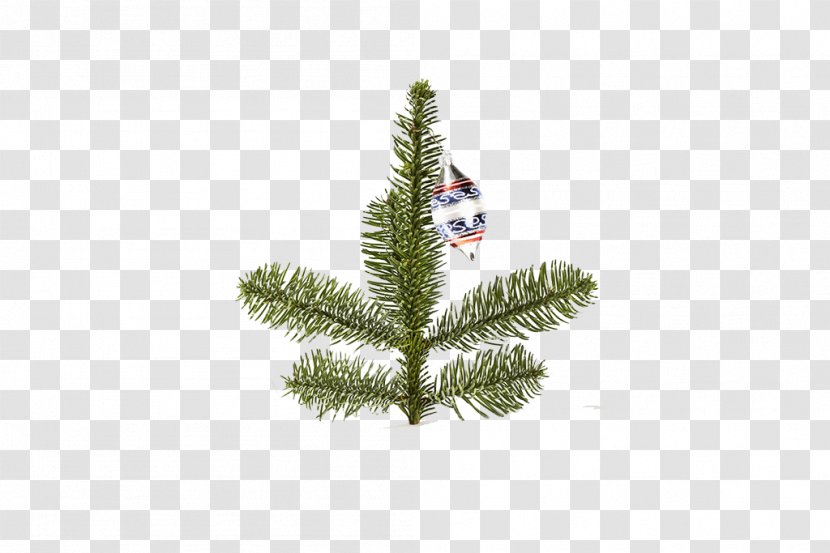 Santa Claus Christmas Tree Decoration - Pine Transparent PNG