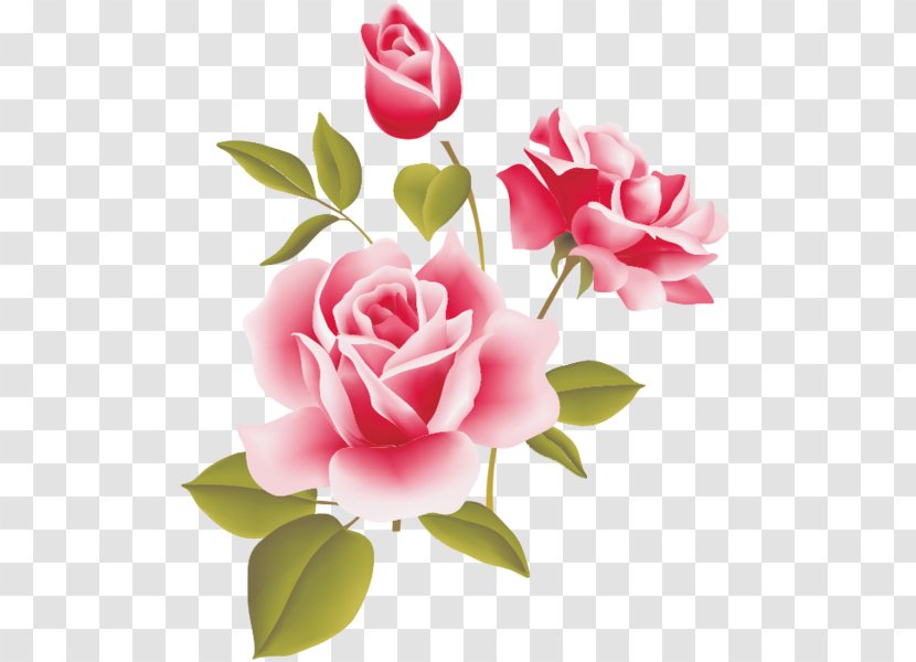 Rose Desktop Wallpaper Clip Art - Garden Roses Transparent PNG