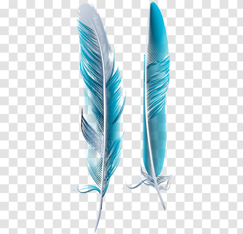 Bird Feather Blue Asiatic Peafowl - Plot Transparent PNG