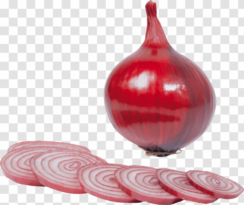 Juice Red Onion - Flower - Image Transparent PNG