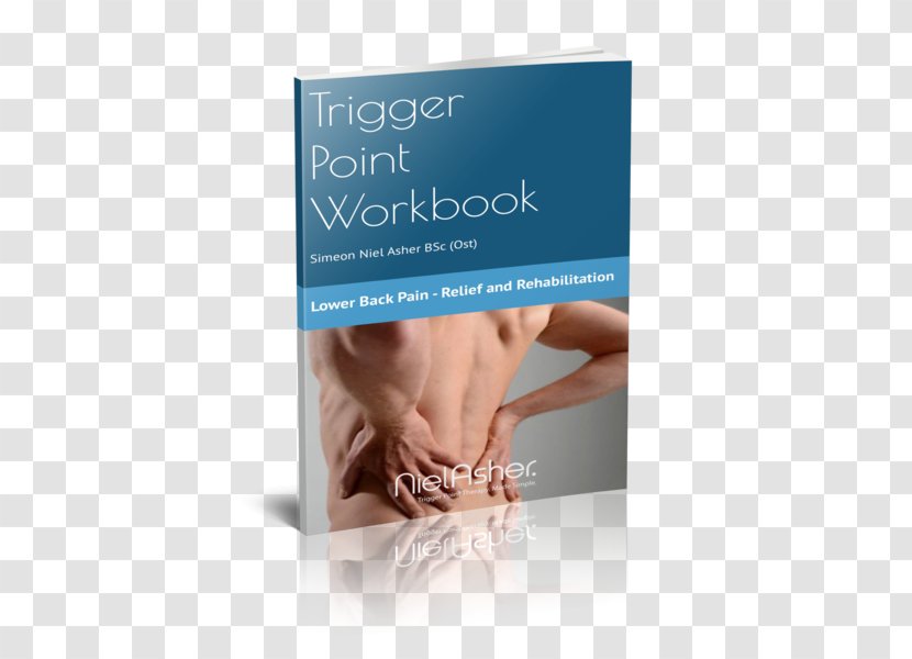 The Trigger Point Therapy Workbook Low Back Pain Myofascial Human - Dry Needling Transparent PNG