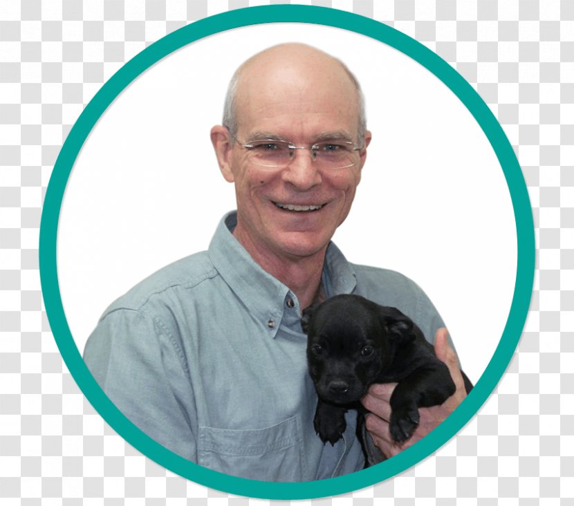 Veterinarian Dog Breed Wynnum Manly Veterinary Hospital - Like Mammal - Dr Bob Bennett & Tom Gradwell Italian GreyhoundWynnum Transparent PNG