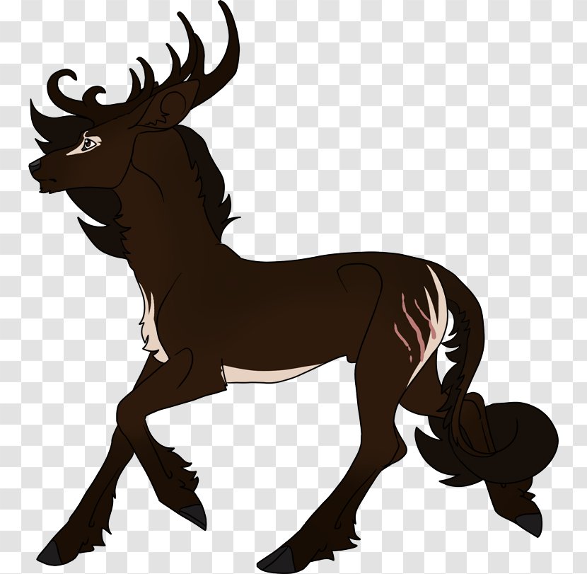 Reindeer Horse Elk Cattle Horn - Mammal Transparent PNG