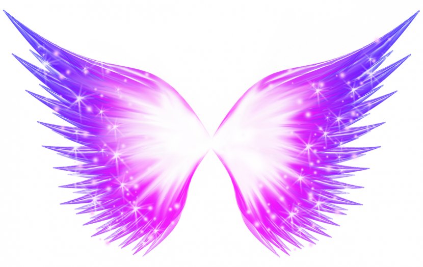 Buffalo Wing - Pink - Abstract Butterfly Glow Effect Transparent PNG
