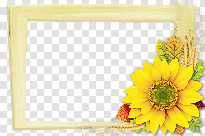 Background Flowers Frame - Petal - Daisy Family Picture Transparent PNG