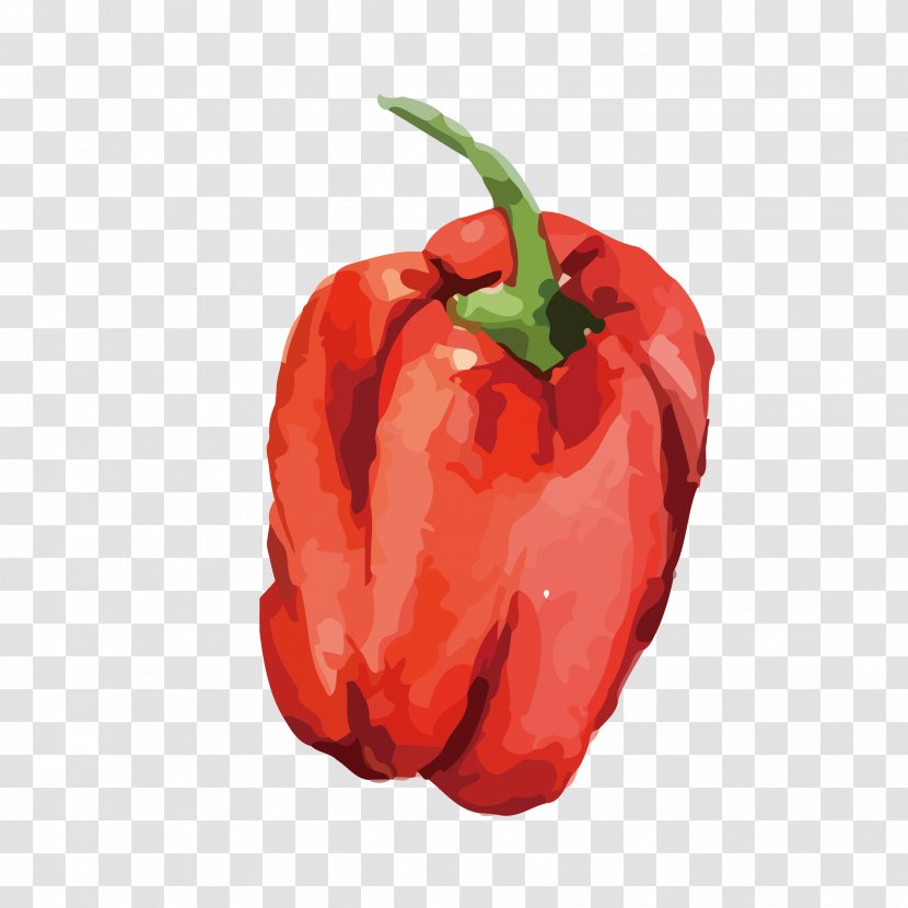 Chili Pepper Vegetable Con Carne Food Bell - Cayenne - Capsicum Transparent PNG