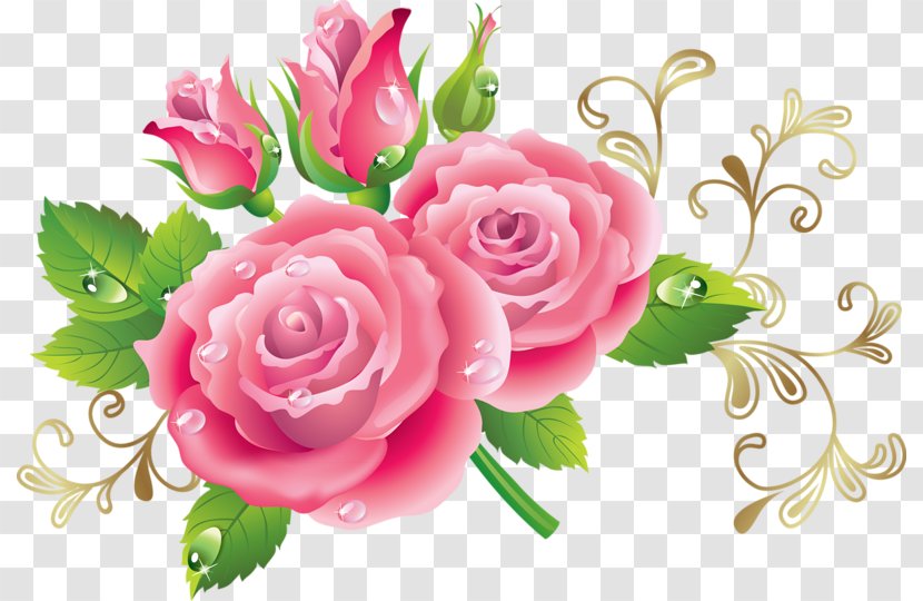 Rose Flower Illustration - Pink - Attractive Peony Transparent PNG