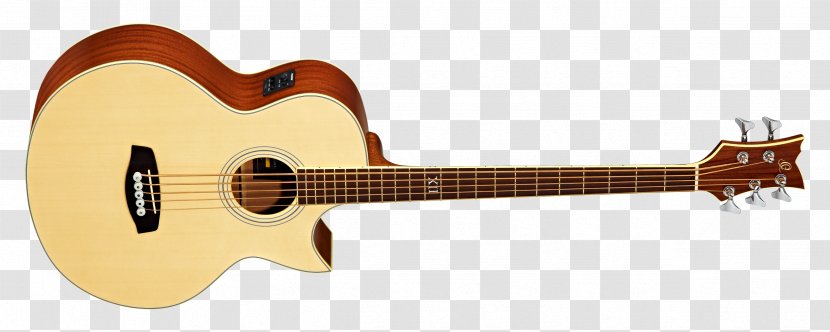 Steel-string Acoustic Guitar Bass Acoustic-electric - Cartoon Transparent PNG