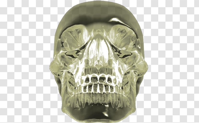 Crystal Skull Indiana Jones Quartz Transparent PNG