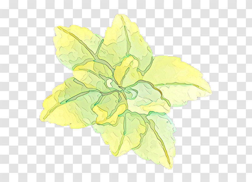 Leaf Yellow Green Flower Plant Transparent PNG