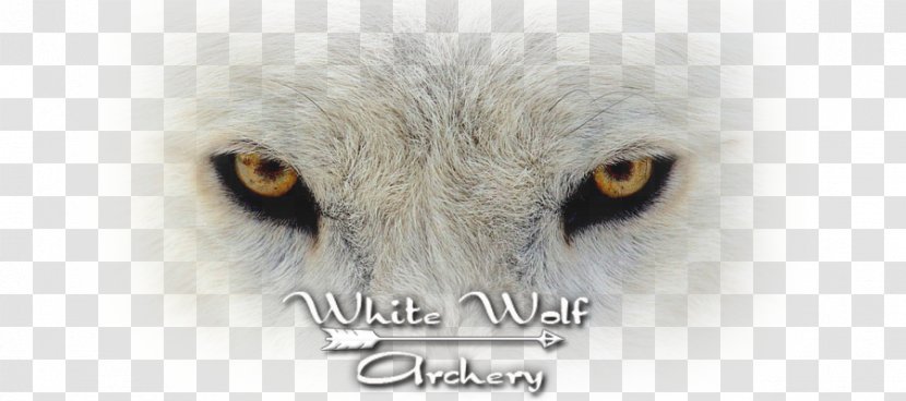 Eye Color Siberian Husky Photography Dire Wolf - Tree - Black And White Transparent PNG