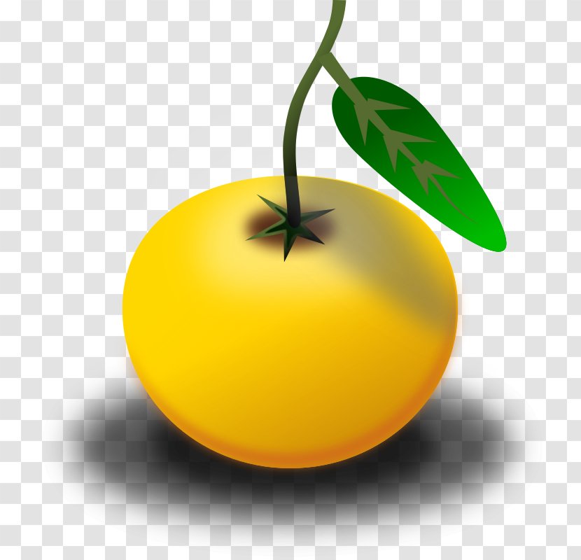 Orange Juice Clip Art - Citrus - Fruit Transparent PNG