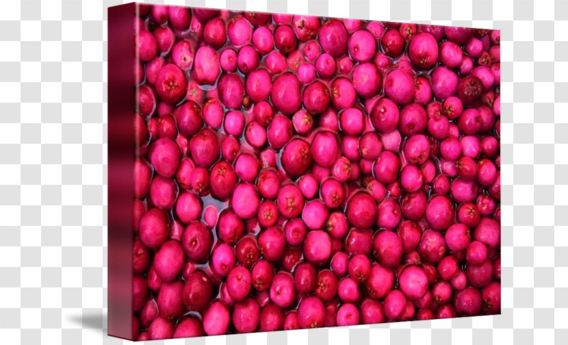 Cranberry Imagekind Business Common Lilly Pilly Art - Affiliate Marketing Transparent PNG