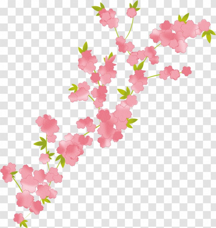 Branch Flower Bouquet Cherry Blossom Floral Design - Arranging Transparent PNG