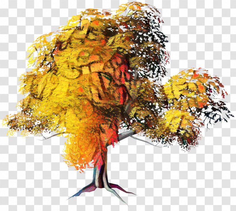 Autumn Tree Branch - Leaf Color - Modern Art Plant Transparent PNG