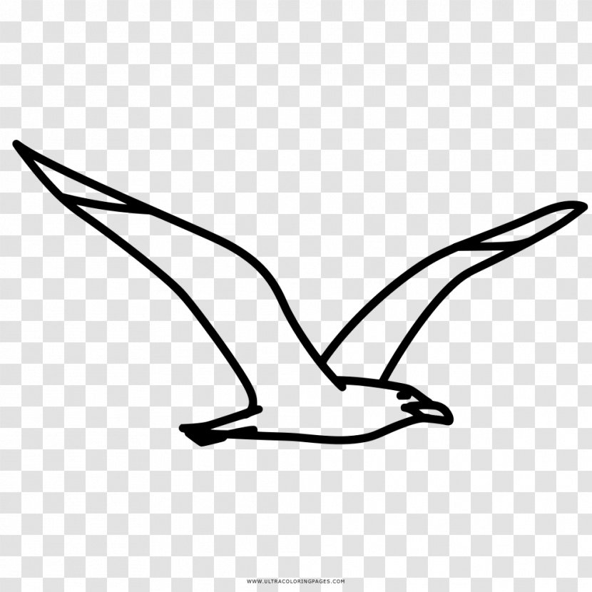 Coloring Book Drawing Gulls Kyanite - Seagull Clipart Transparent PNG
