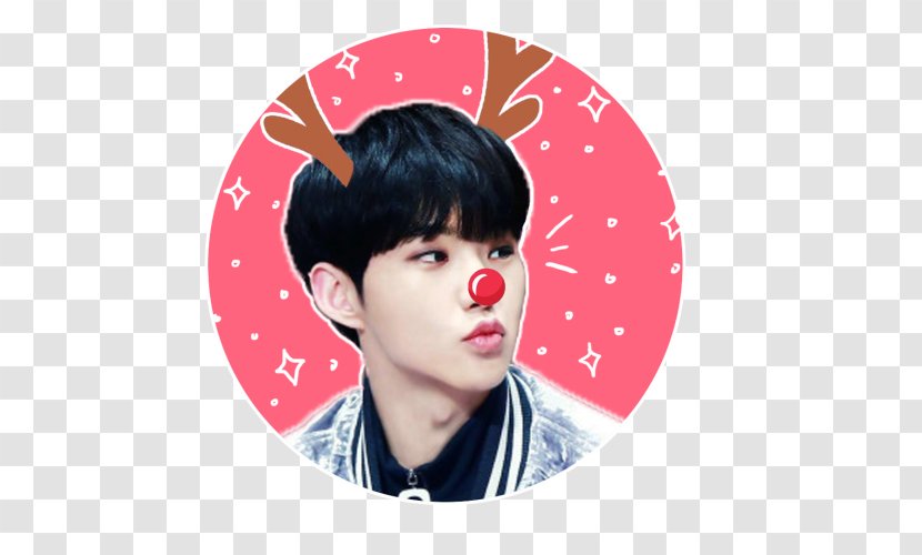 Nose Cheek Forehead Ear - Face Transparent PNG