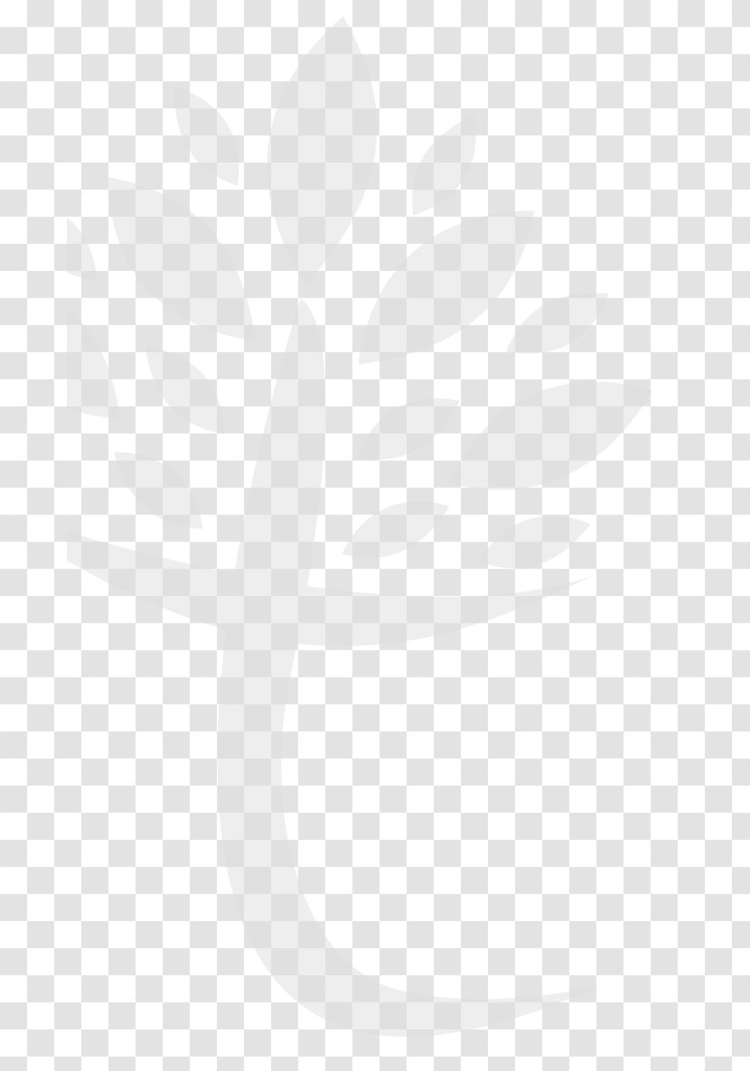 Logo White Desktop Wallpaper - Computer Transparent PNG
