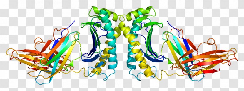 HFE Gene Wiki Hemochromatosis Protein Transparent PNG