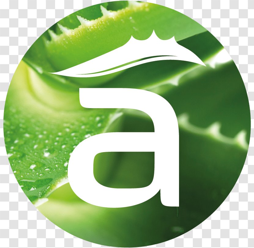 Aloe Vera Logo Gel Brand Trademark - Plant Transparent PNG