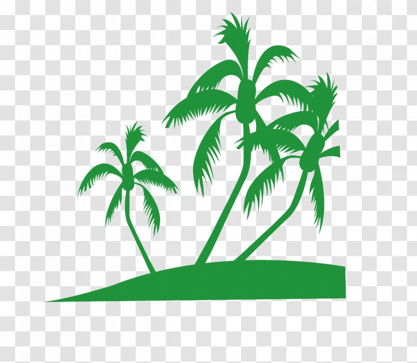 Palm Tree - Plant - Grass Stem Transparent PNG