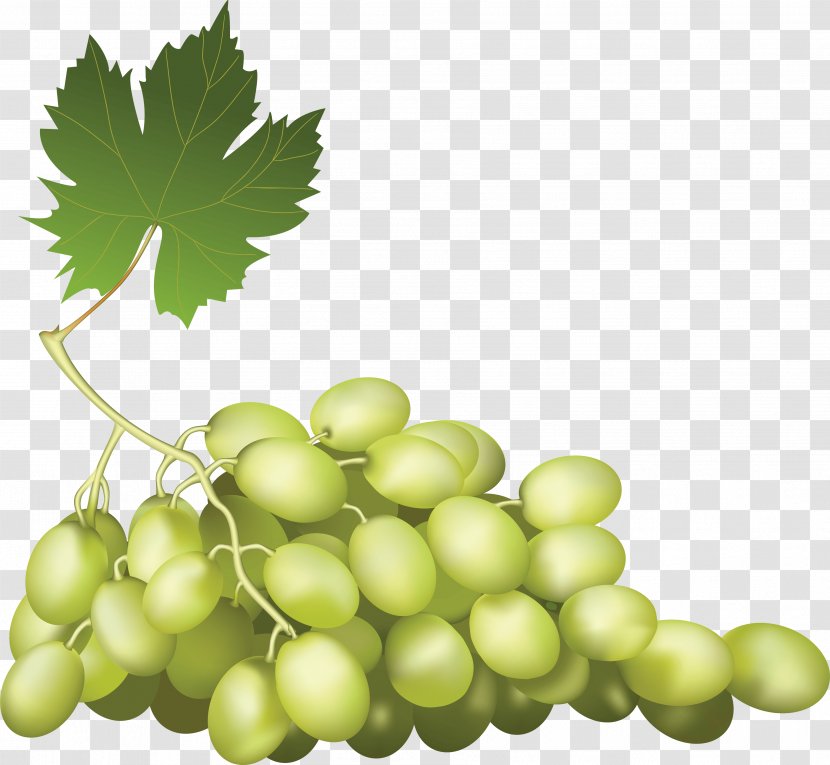 Fruit Grape - Leaves Transparent PNG