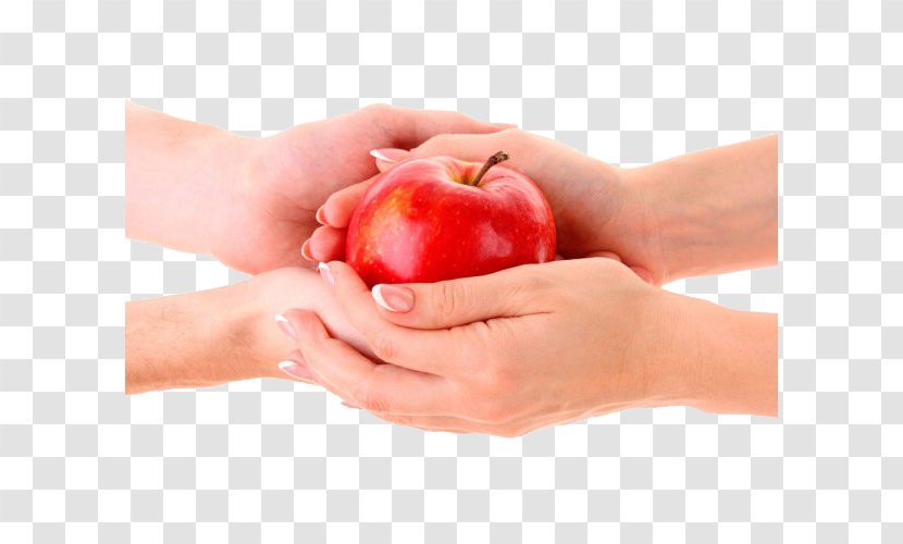 Apple Food Fruit - Nail - Holding A Red Transparent PNG