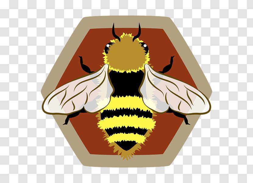 Western Honey Bee Honeycomb Beehive Africanized - Membrane Winged Insect Transparent PNG