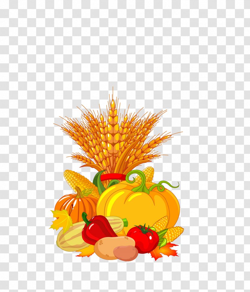 Autumn Harvest Festival Clip Art - Vegetable Transparent PNG