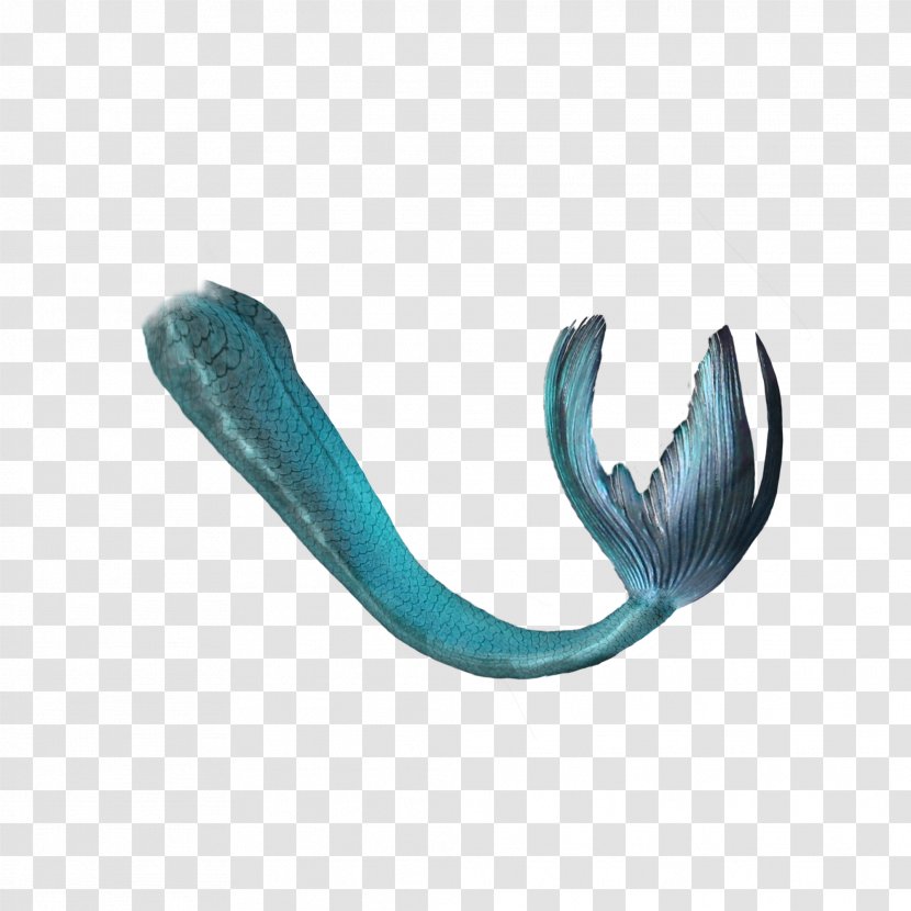 Mermaid Tail Blue - Aqua - Decorative Transparent PNG