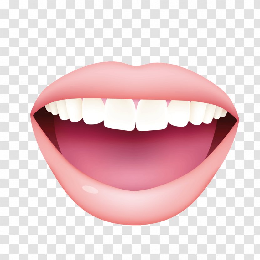 Tooth Smile - Banana Peel - White Teeth Transparent PNG