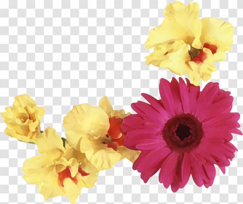 Transvaal Daisy Floral Design Flower Bouquet Floristry - Rose Transparent PNG