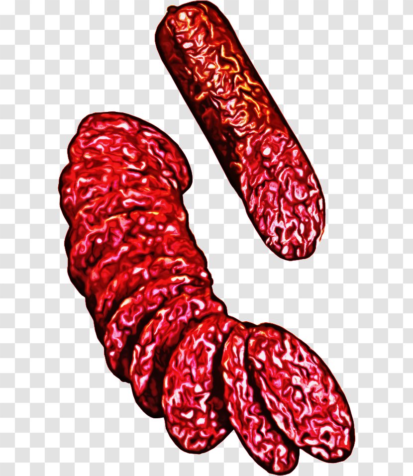 Hamburger Cartoon - Salami - Cervelat Beef Transparent PNG