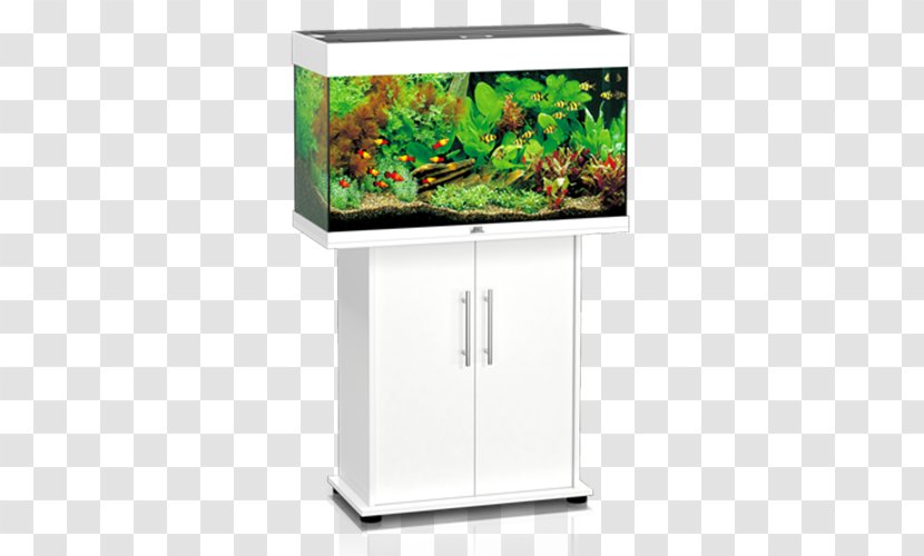 Aquariums JUWEL Rio 240 LED Aquarium Filters Water Filter - Filtration - Marine Invertebrates Transparent PNG