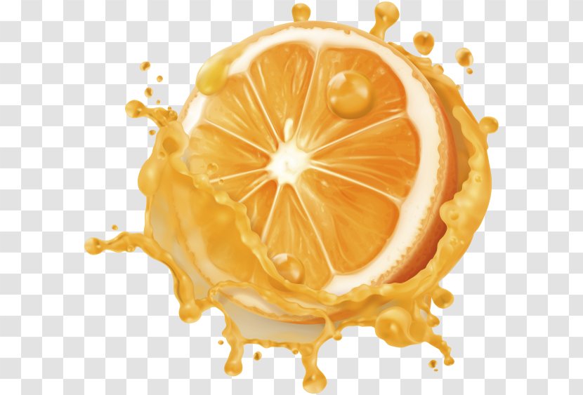 Orange Juice Tomato Grapefruit Vector Graphics - Fruit Transparent PNG