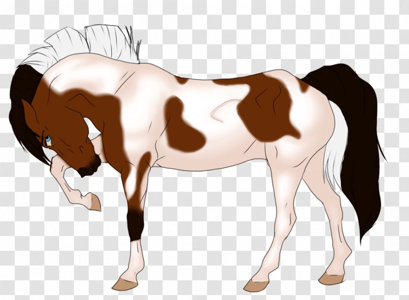 Foal Mane Stallion Mustang Colt - Pony - Buy Gifts Transparent PNG