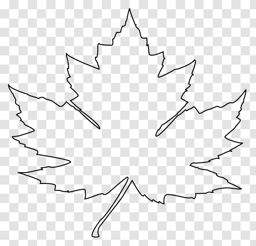White Symmetry Area Angle Pattern - Point - Maple Leaf Art Transparent PNG