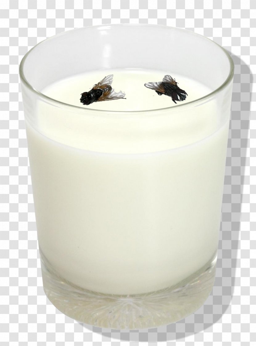 Dairy Products Flavor Housefly - Mosca Transparent PNG