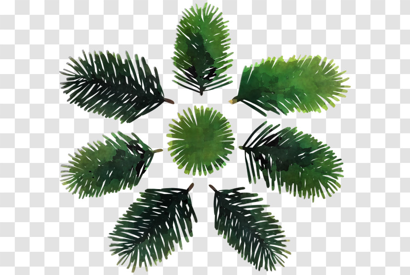 Palm Tree Transparent PNG