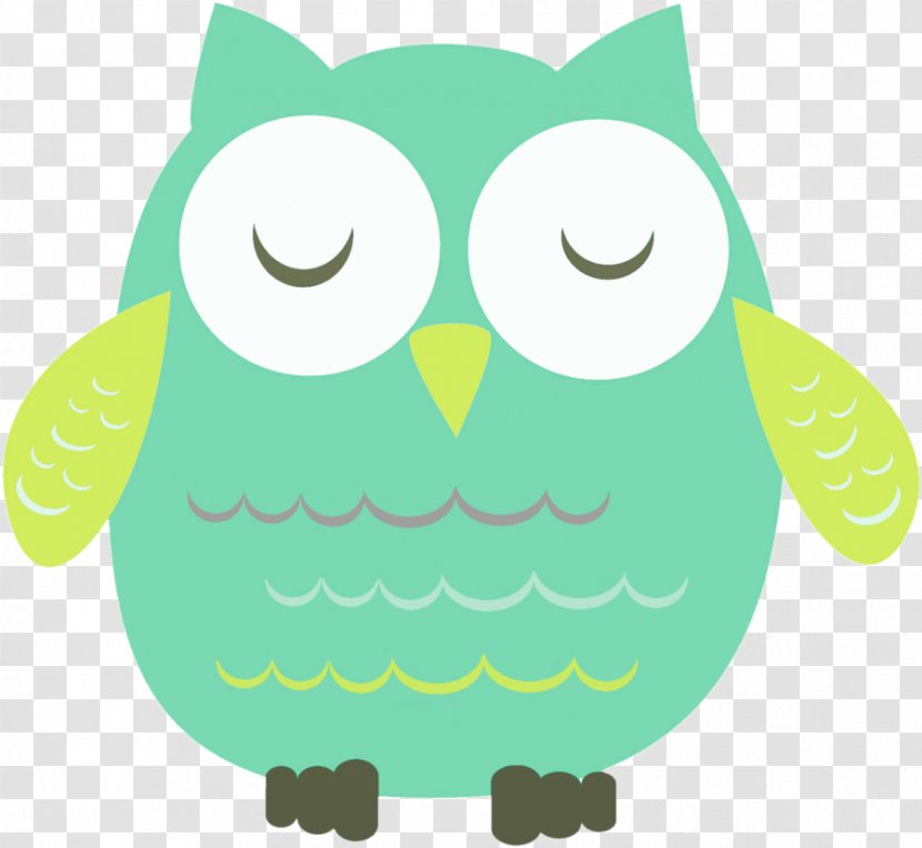 Little Owl Drawing Photography - Beak Transparent PNG