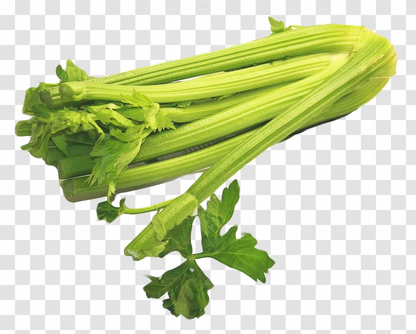 Celery Napa Cabbage Vegetable Ribollita - Food Transparent PNG