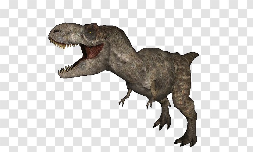Tyrannosaurus Velociraptor Terrestrial Animal - Organism Transparent PNG