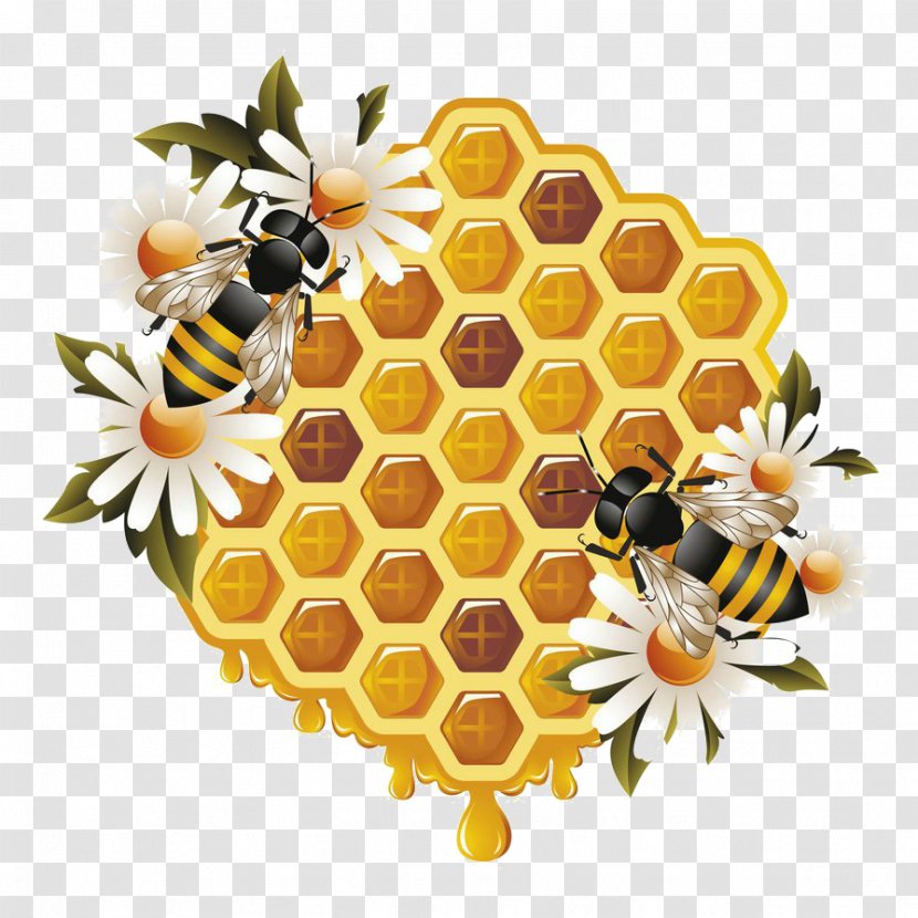 Western Honey Bee Beehive Bumblebee Clip Art - Wasp Transparent PNG